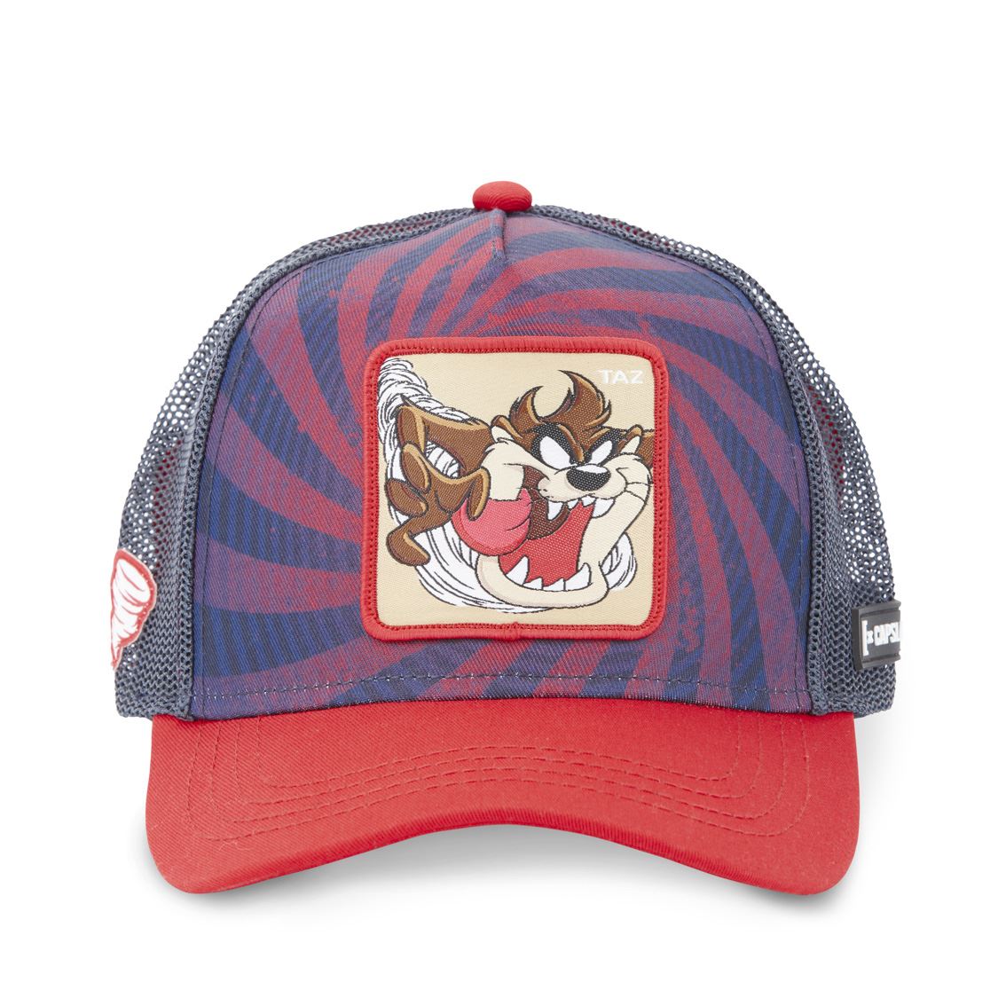 LOONEY TUNES TAZ