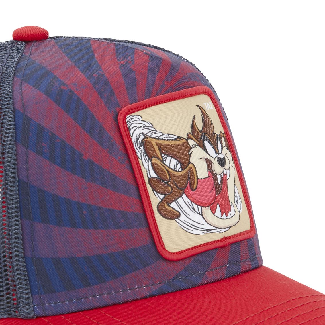 LOONEY TUNES TAZ
