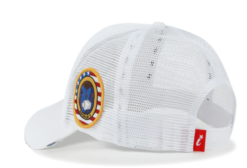 NASA Meatball Apollo 1