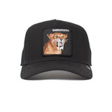 The Sabertooth Tiger