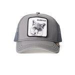 The Silver Fox (Grey)