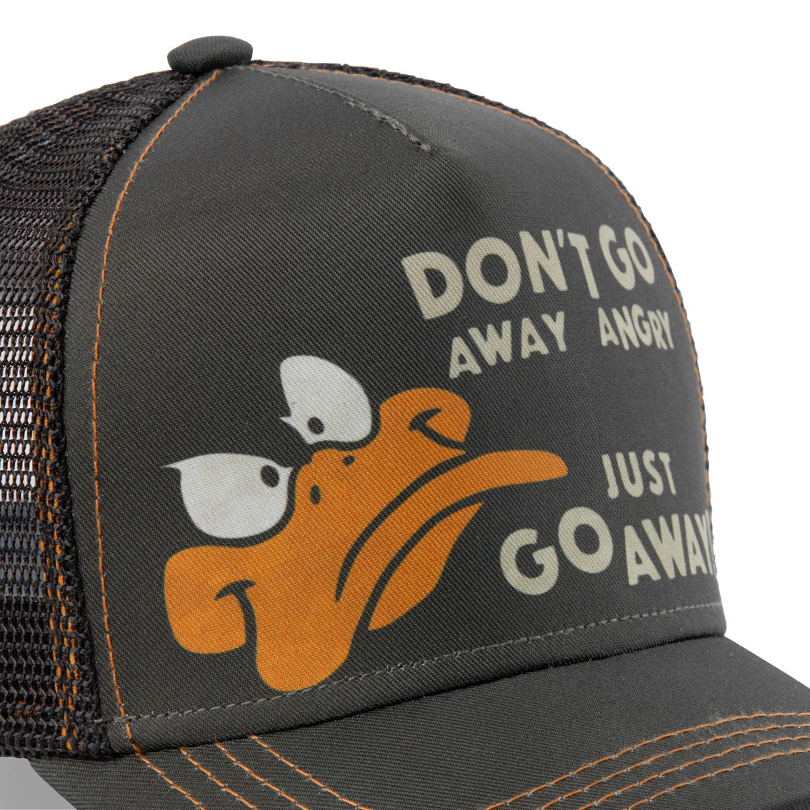 Don&#39;t Go Away Daffy Duck
