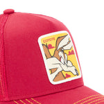 LOONEY TUNES COYOTE RED