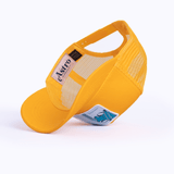 Aquarius (Yellow)
