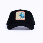 Cancer (Black)